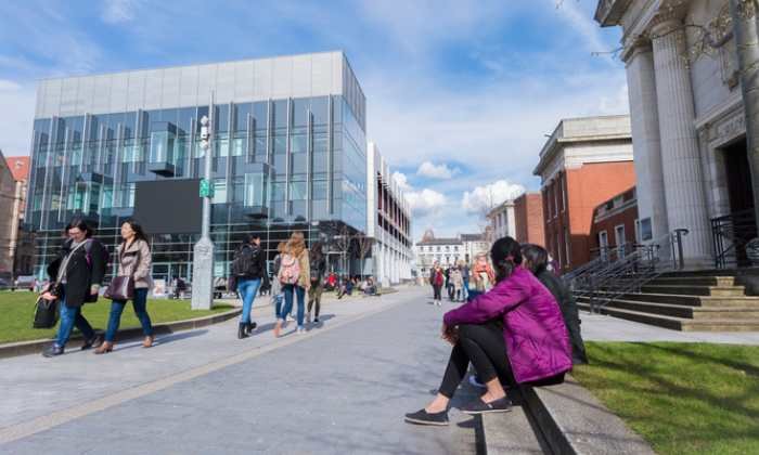 Exciting Apprenticeship Development Opportunities for Nigerians in the UK! 🇬🇧