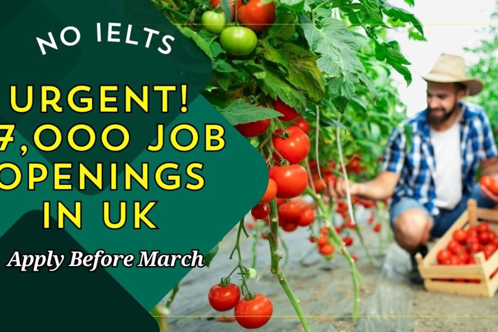 Japa Alert! Urgent: 47,000 UK Job Openings with No IELTS Requirement – Apply Before March!