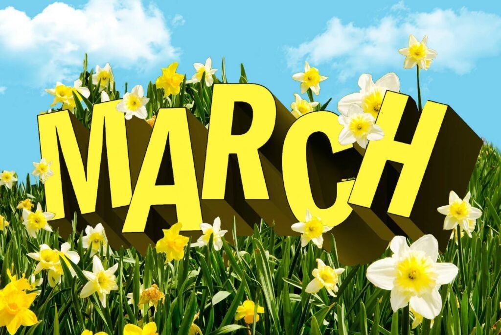 March in the UK: What to Look Forward to, Events & Safety Tips for Nigerians