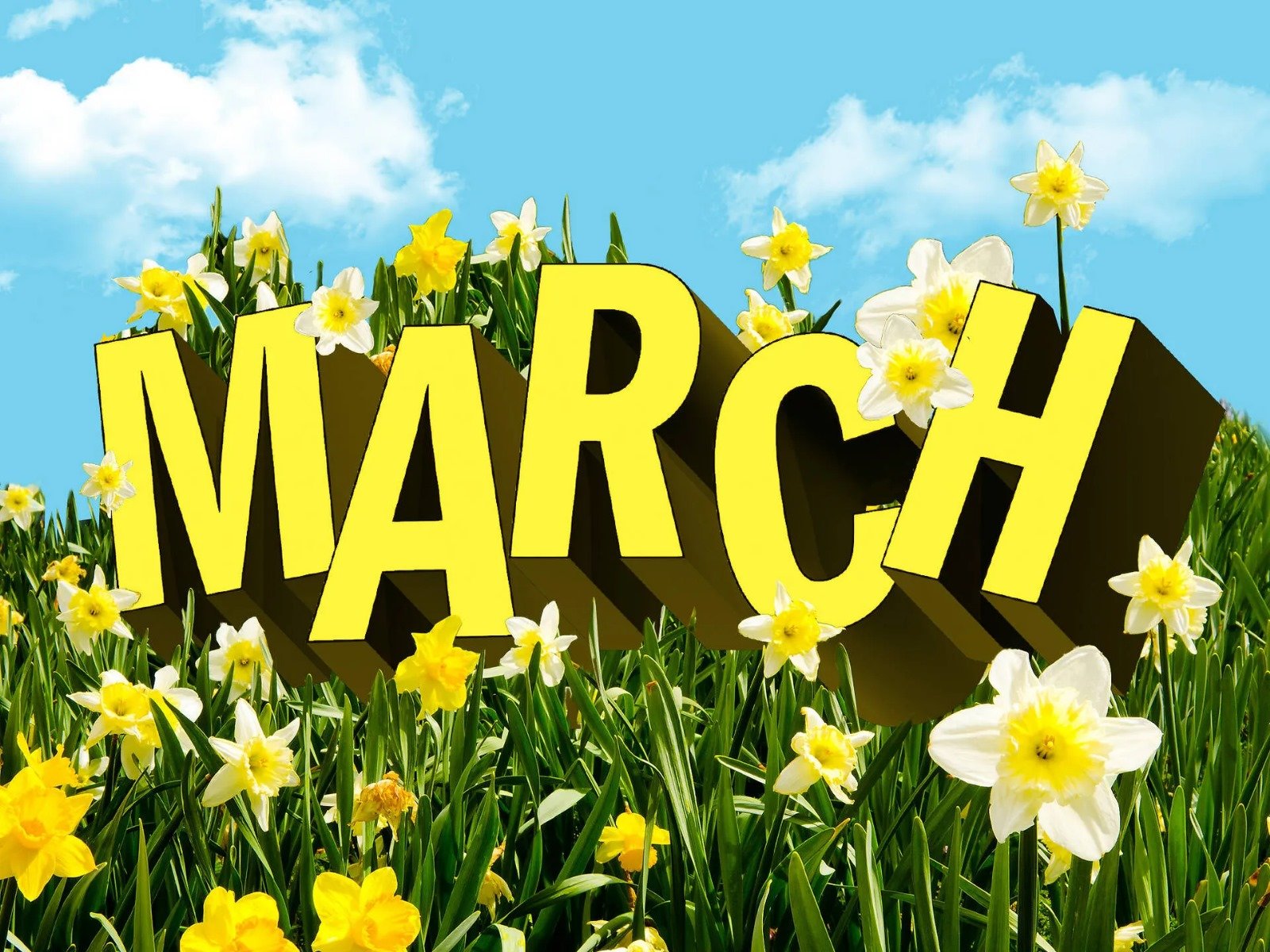 March in the UK: What to Look Forward to, Events & Safety Tips for Nigerians