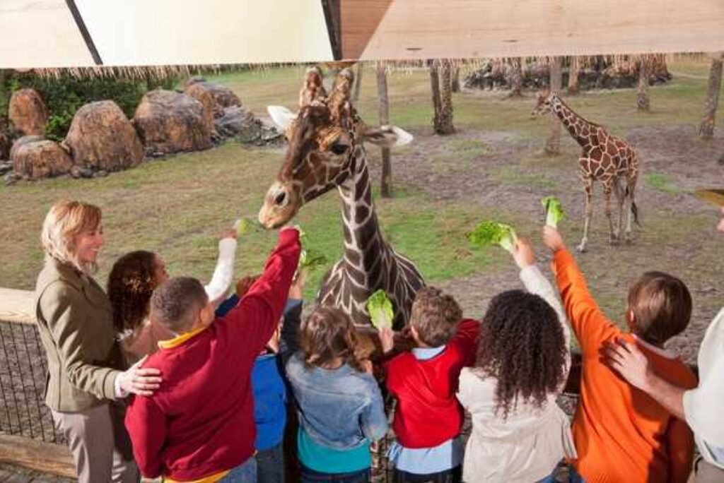 National Zoo Day: Celebrating Nature, Nostalgia & Naija Vibes in the UK