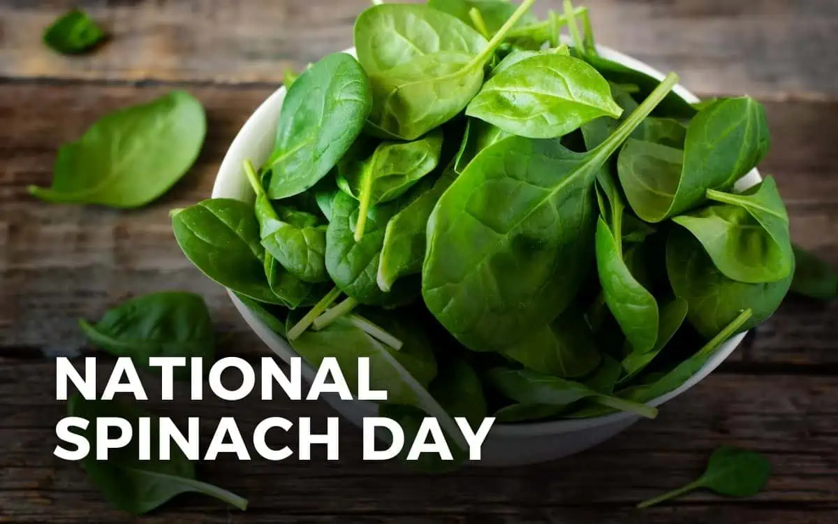 National Spinach Day – 26 MARCH, 2026