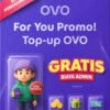 transaksi ovo pending dan ovo terblokir sementara