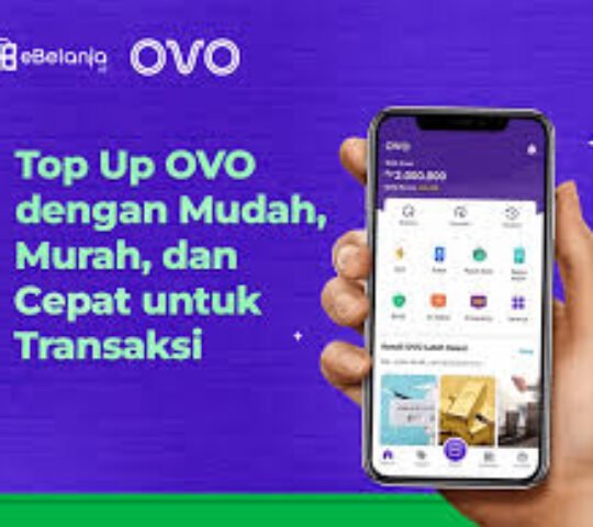 OVO Blokir Sementara Tiga Puluh Menit