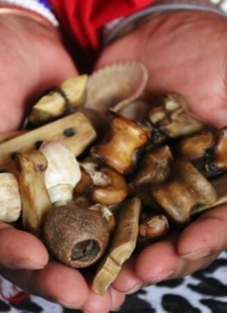 TRADITIONAL HEALER [[+27764410726]] SANGOMA/ A SPELL CASTER AND A SPIRITUAL HEALER in South africa, SECUNDA, OGIES, KWAGGAFONITEN, ERMELO,KWAGGAFONITEN , BUSHBUCKRIDGE,HAZYVIEW, WITBANK, KWAMHIANGA, BARBERTON, BETHAL, STANDERTON, MALALANE, ACORNHOEK, ELUKWATINI, PIET RETIEF, NKOMAZI, BRONKHORSTPRUIT, DENNILTON, DELMAS, VOLKSRUST, WHITE RIVER, KABOKWENI, HENDRINA, KRIEL, LYDENBURG, SCHOEMANSDAL, BELFAST, GRASKOP, MIDDLEBURG, Embalenhle, Ermelo, Siyabuswa