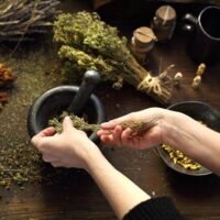 Traditional Healer Organisation